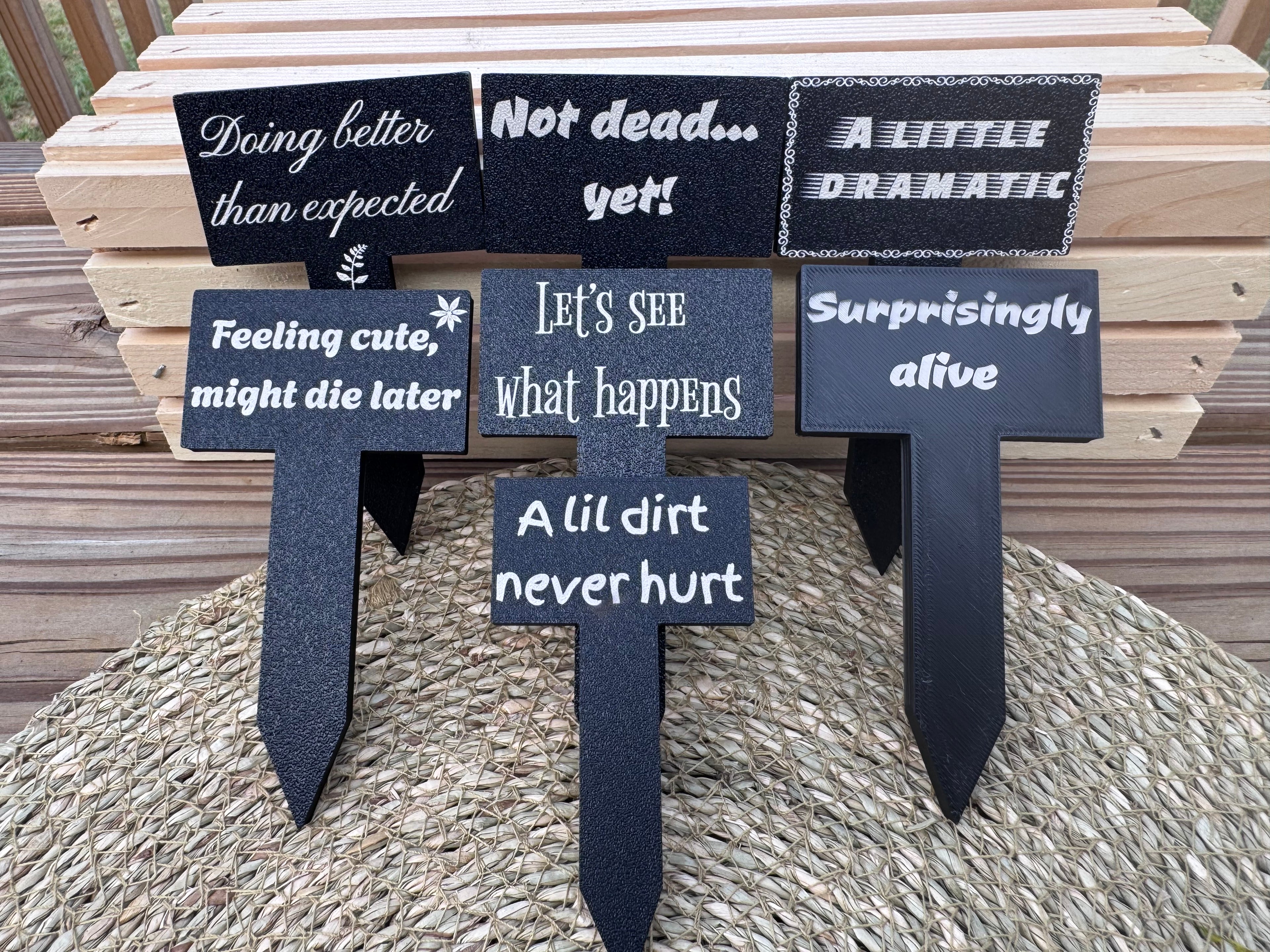 Sassy Plant Stakes Set