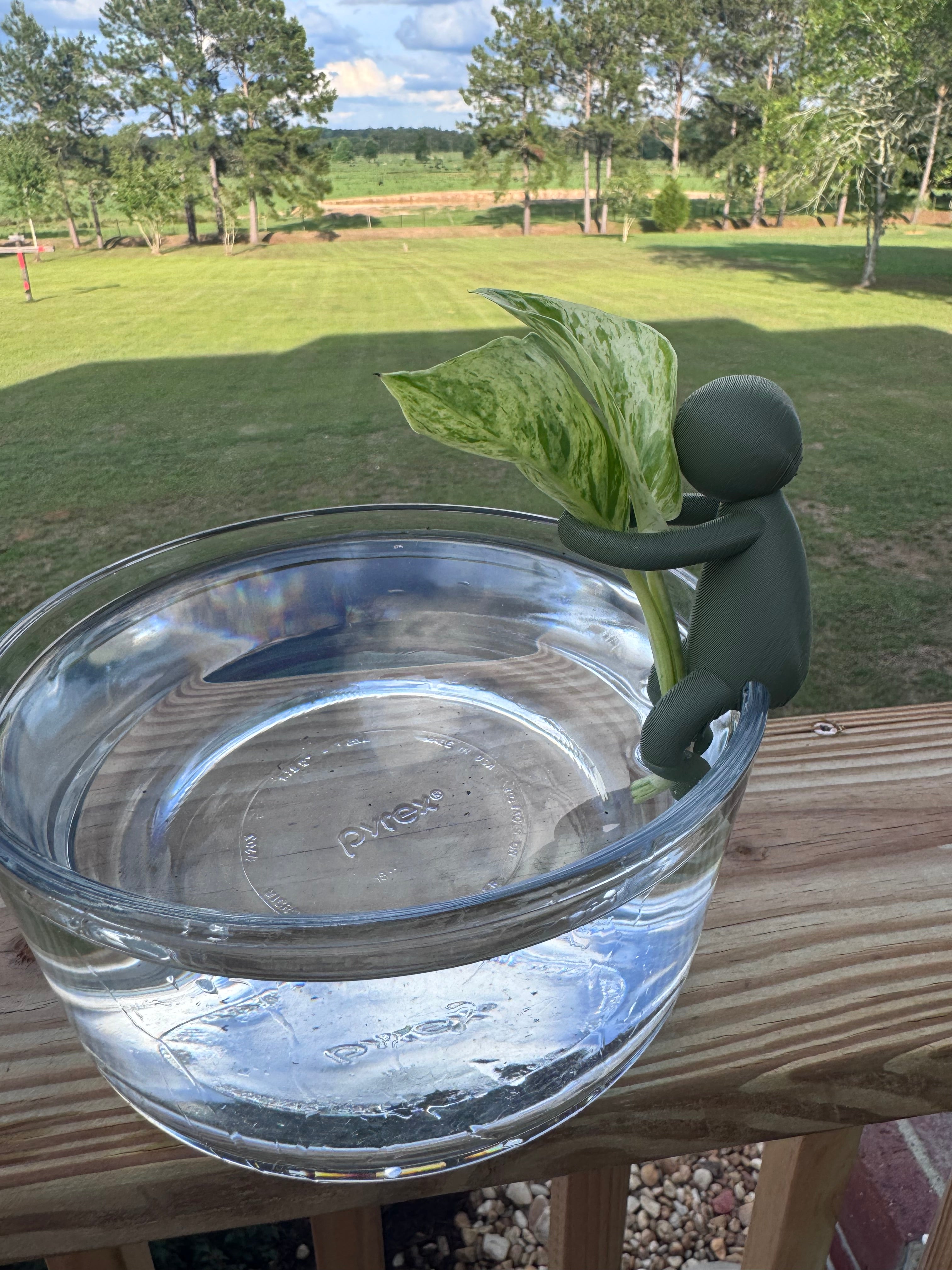 Hydro Propagation Buddy