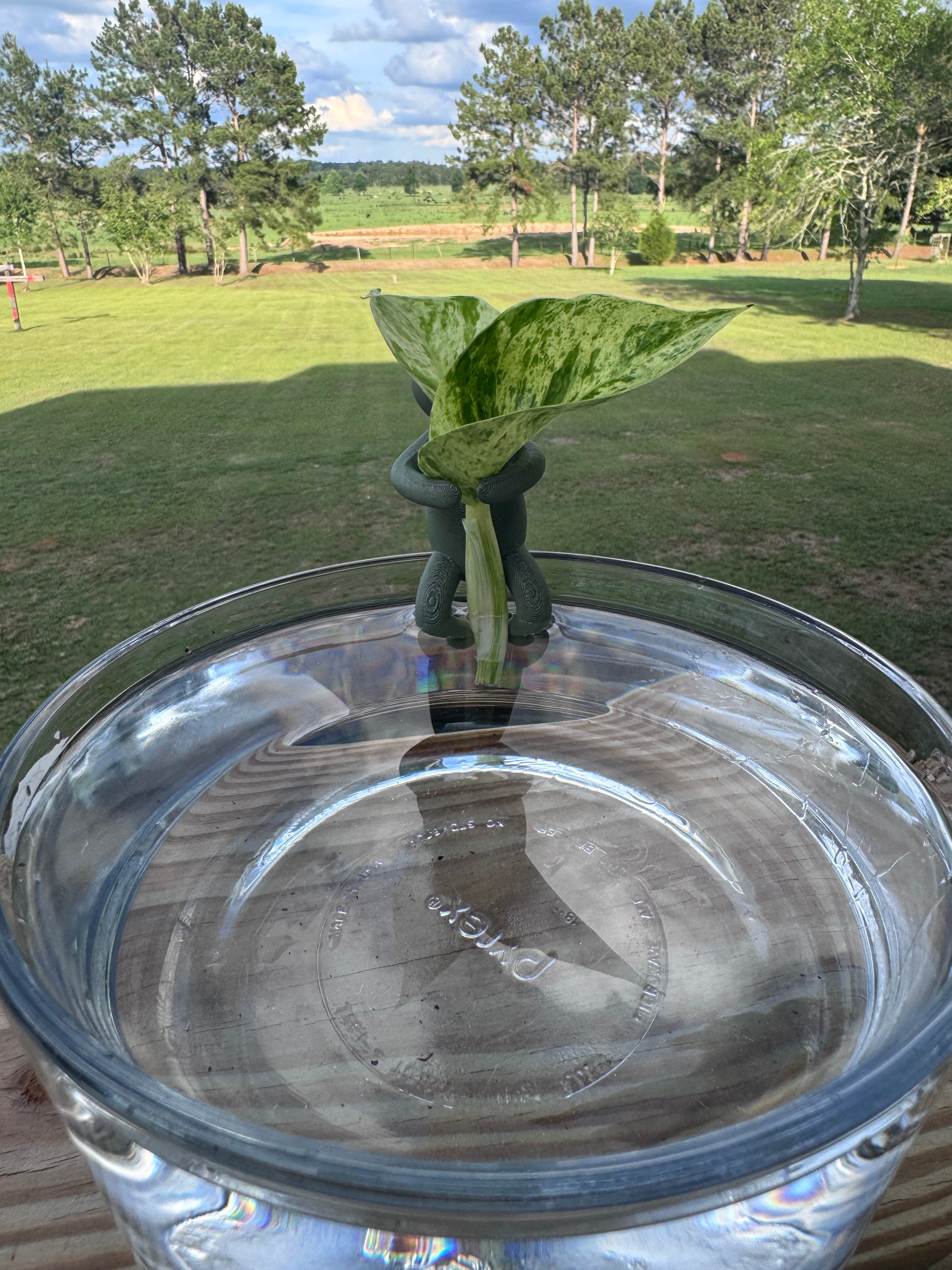 Hydro Propagation Buddy