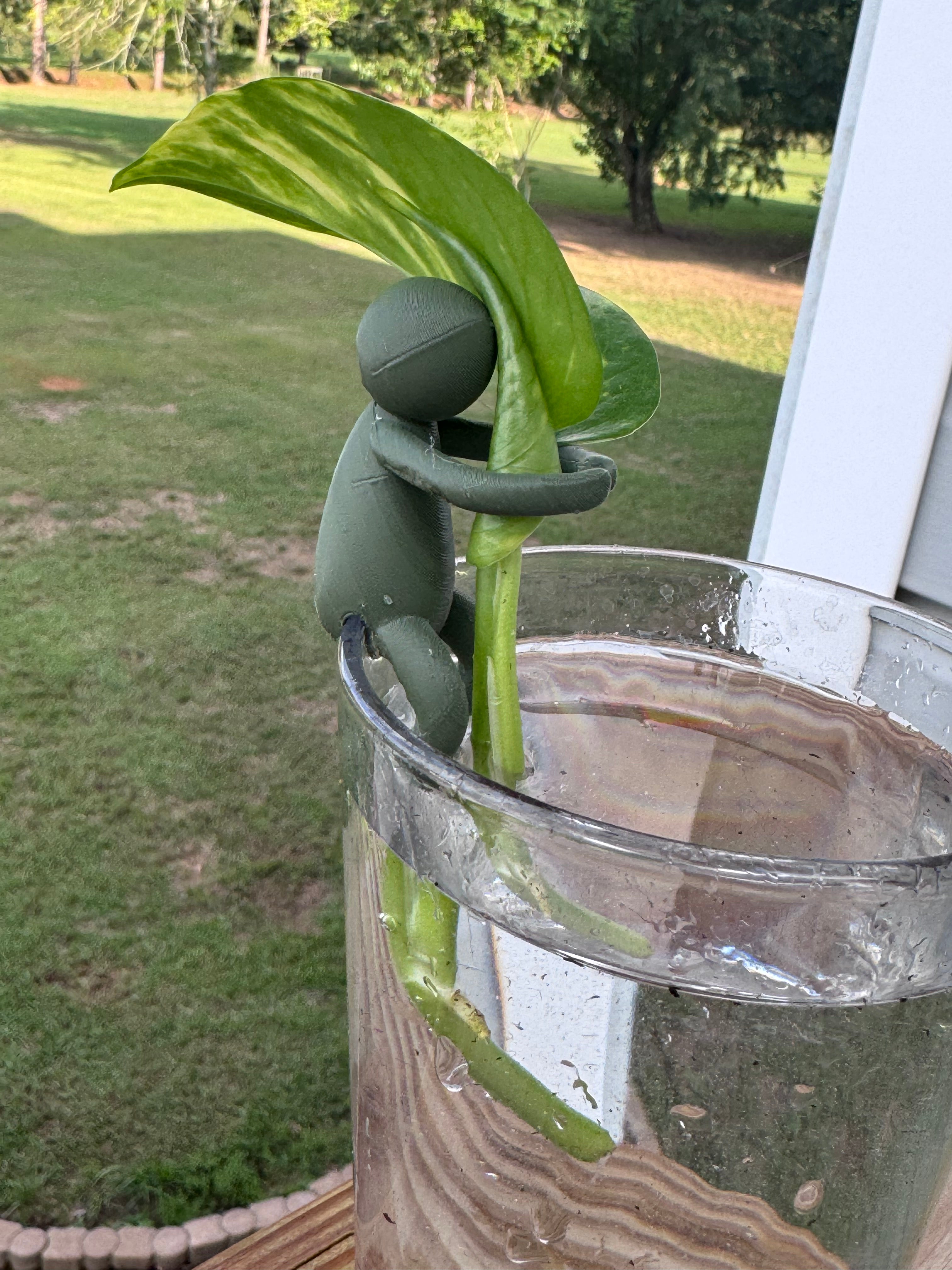 Hydro Propagation Buddy