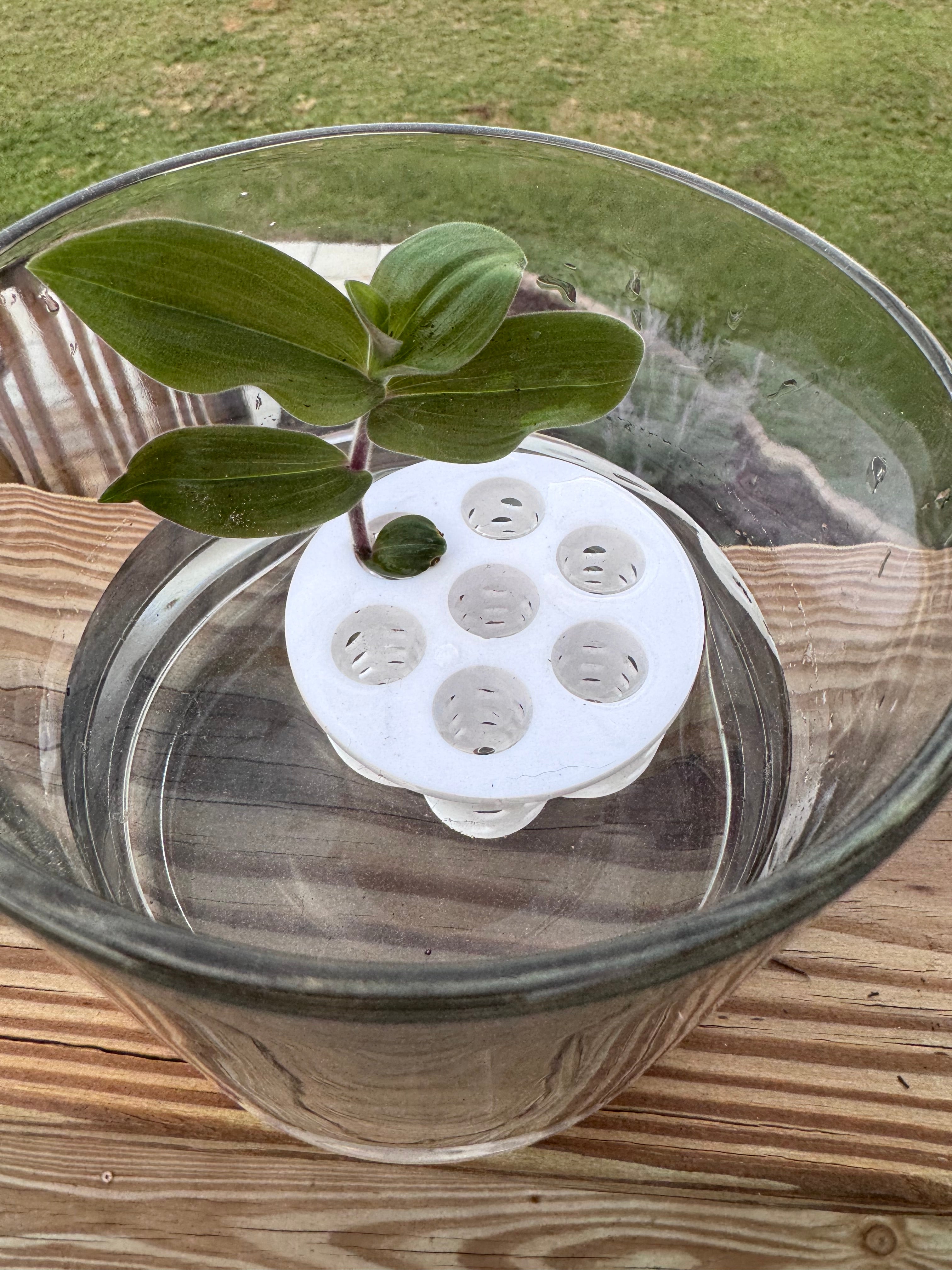 Hydro Propagation Insert