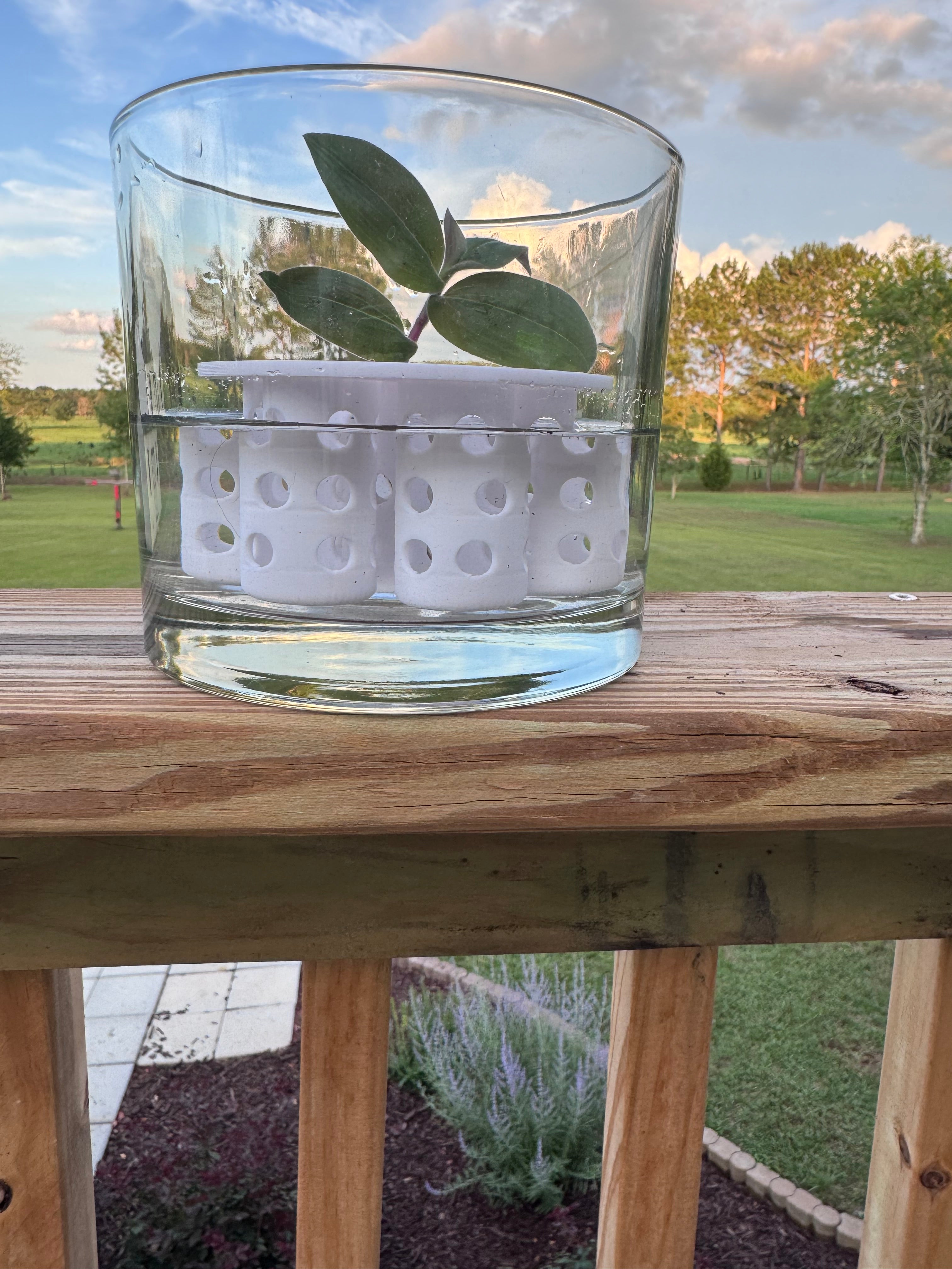 Hydro Propagation Insert