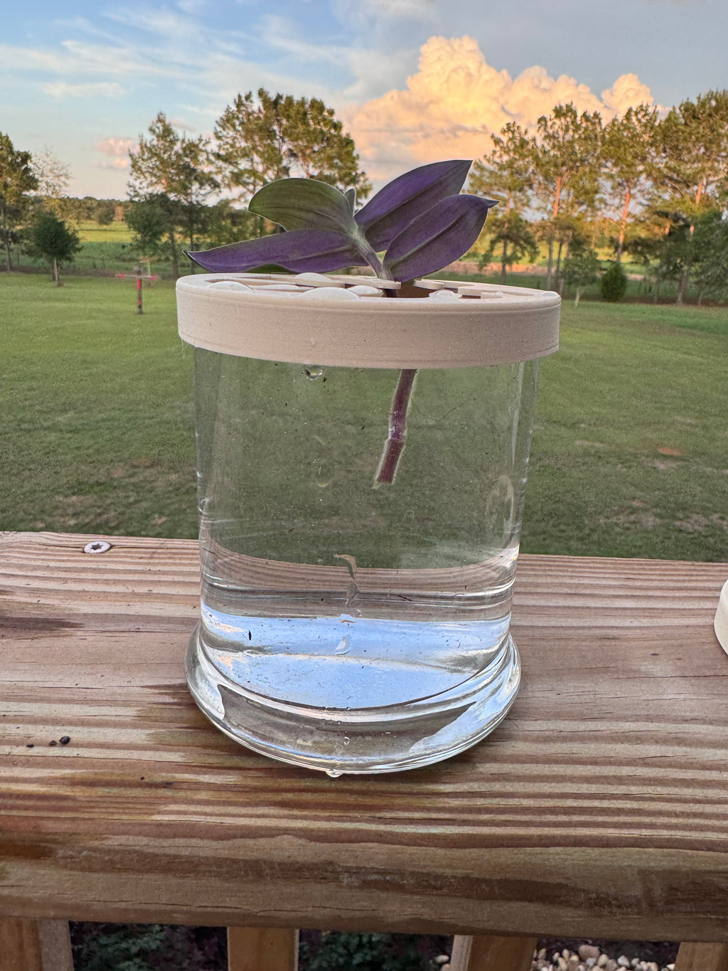 Modern Hydro Propagation Inserts